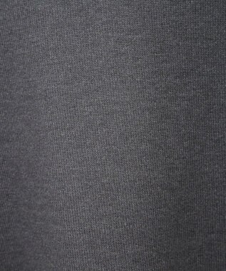 AMERICAN HOLIC バイパチＣＥＲＥＳＴＥＳロゴニットプルオーバー Gray Mixture