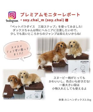 PET PARADISE 犬 ステップ 階段 スヌーピー 3段 ステップ 収納付きフレンズ柄 茶系