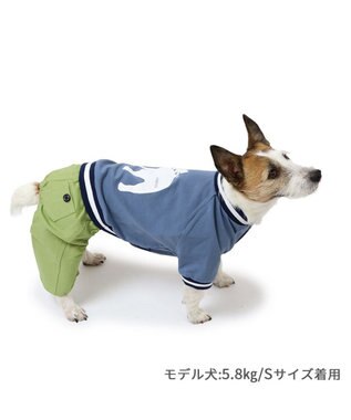 PET PARADISE J.PRESS バックブルドッグ パンツつなぎ 小型犬 ブルー