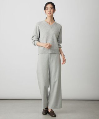 J.PRESS LADIES CASHBIT NEO Vネック ニット ライトグレー系
