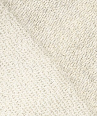 J.PRESS LADIES 【WEB限定カラーあり】ラメ裏毛 カットソー 【WEB限定】ベージュ系