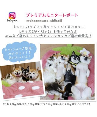 PET PARADISE ネット店限定 ペットパラダイス くすみ苺 クッション L ピンク