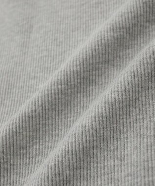 Green Parks ・Ｐｅｔｉｔ　Ｆｌｅｕｒ　リブオーバーサイズＴＥＥ Gray Mixture