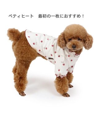 PET PARADISE ペットパラダイス ペティヒート Tシャツ 《苺柄》 小型犬 超小型犬 苺柄