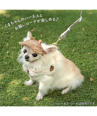 PET PARADISE ペットパラダイス くまちゃん キャップ ４Ｓ～３Ｓ/ＳＳ～Ｓ ブラウン