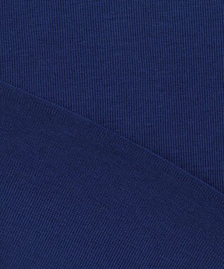 ICB 【洗える】 エクストラファインメリノ クルーネックプルオーバー ロイヤルブルー系