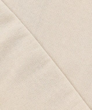 J.PRESS LADIES S 【洗える・抗菌防臭】コットンアセテート バンドカラー ニット アイボリー系