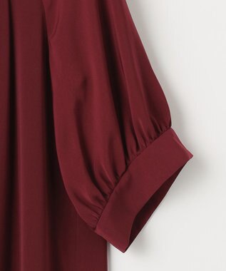 自由区 【WEB限定】ラグランタック ドレス ワイン系