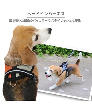 PET PARADISE ヘッドインハーネス  【ＳＭ】 オレンジ / ブルー 【中型犬】 オレンジ×グレー