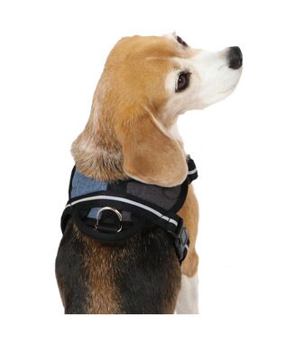 PET PARADISE ヘッドインハーネス  【ＳＭ】 オレンジ / ブルー 【中型犬】 ブルー×ブラウン