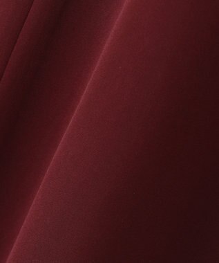 自由区 【WEB限定】ラグランタック ドレス ワイン系