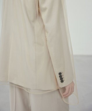 BEIGE， 【洗える・Oggi 6月号掲載】SILENE / オーバーサイズチュールブラウス Beige