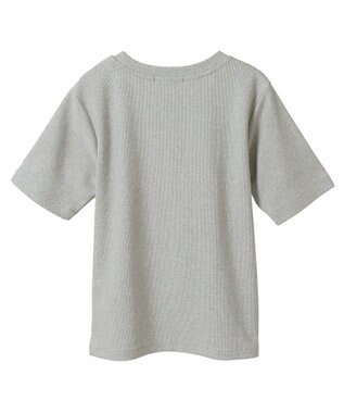 AMERICAN HOLIC ラメリブＴシャツ Silver