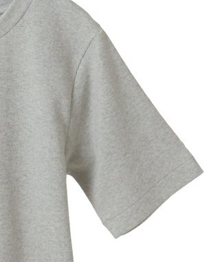 AMERICAN HOLIC ラメリブＴシャツ Silver