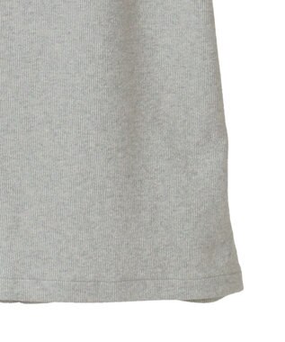 AMERICAN HOLIC ラメリブＴシャツ Silver