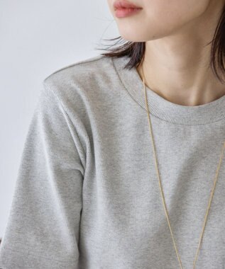 AMERICAN HOLIC ラメリブＴシャツ Silver