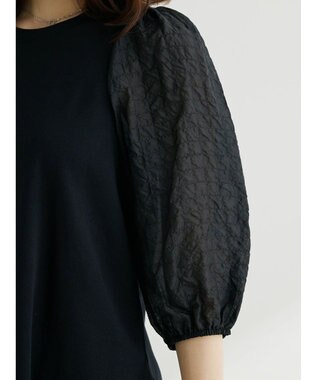 Green Parks ・ＳＵＧＡＲ　ＳＰＯＯＮ　シャーリング袖プルオーバー Black