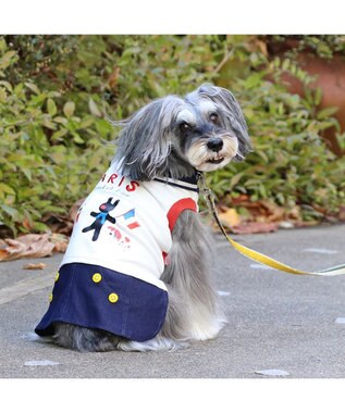 PET PARADISE リサとガスパール 丸襟 スカートつなぎ 小型犬 ホワイト