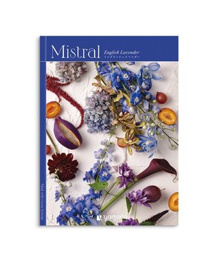 antina gift studio Mistral(ミストラル) ギフトカタログ＜イングリッシュラベンダー＞ -