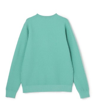 JOSEPH HOMME 新柄【イージーケア】 ヴィスコースリンクス　クルーネックニット スモーキーグリーン系