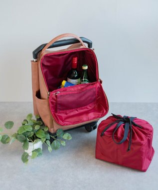 ACE BAGS & LUGGAGE soelte マルメ お買い物キャリー 23L 35982 ソエルテ ソフトスーツケース ココアブラウン