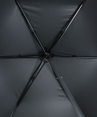 AURORA 【 NINA RICCI（ニナリッチ）】アップリケ刺しゅう/パイピング晴雨兼用傘（折りたたみ傘） シルバーグレー