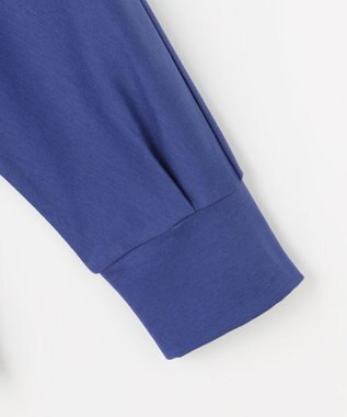 J.PRESS LADIES ポンチ ボートネック カットソー ブルー系