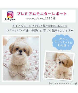 PET PARADISE 犬 クール マット 冷感 柔らか クールマット (48×40cm) 苺 くまちゃん ネイティブ 接触冷感 ひんやり ペット くまちゃん柄