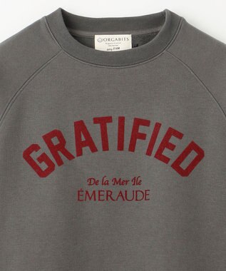 ANY L 【洗濯機可能/サスティナブル】ロゴ裏起毛クルーネックプルオーバー チャコール