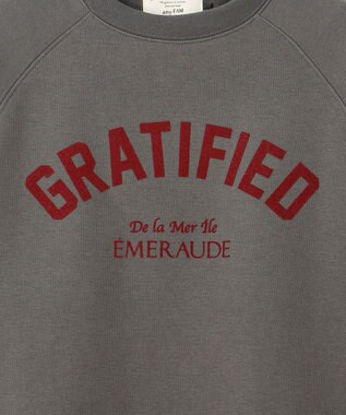 ANY L 【洗濯機可能/サスティナブル】ロゴ裏起毛クルーネックプルオーバー チャコール