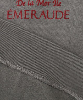 ANY L 【洗濯機可能/サスティナブル】ロゴ裏起毛クルーネックプルオーバー チャコール