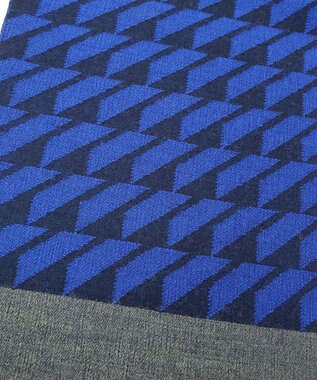 POLS ウールレイヤーストール ブルー