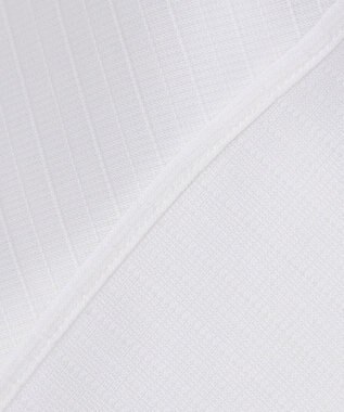 GOTAIRIKU 春夏向け【形態安定】SUMMERPREMIUMPLEATS_スナップダウン 長袖ドレスシャツ ホワイト系1