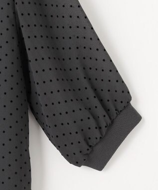 J.PRESS LADIES L 【洗える】ドットフロッキープリント フレア カットソー スレートベース系