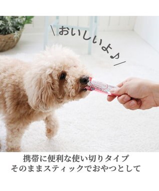 PET PARADISE リアルフードスティック フローラケア 10g×8本 国産 -