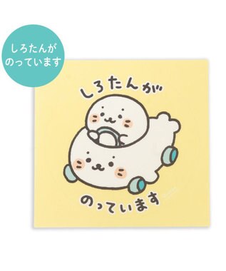  しろたん どこでも一緒しろたんステッカー 大  《しろたんがのっています》 単品