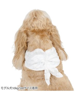 PET PARADISE ペットパラダイス クールバンダナ 《花柄》 中型犬 ホワイト