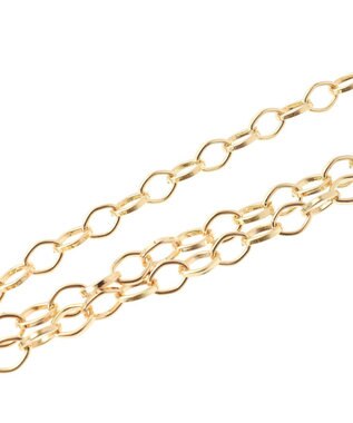 AMERICAN HOLIC マグネットデザインチェーンネックレス Gold