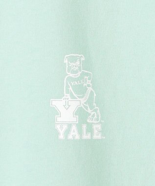 J.PRESS YORK STREET 【UNISEX】YALEバックプリント Tシャツ ライトグリーン系