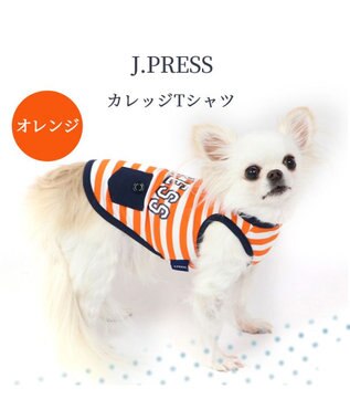 PET PARADISE 犬の服 春夏 ひんやり クール メッシュ 接触冷感 虫除け  J.PRESS カレッジ  Tシャツ 【小型犬】ネイビー オレンジ クールマックスエコメイド オレンジ