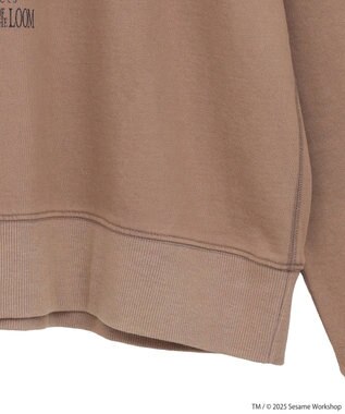 Green Parks セサミストリートミーツフルーツオブザルーム　スウェット Brown