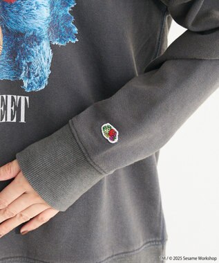 Green Parks セサミストリートミーツフルーツオブザルーム　スウェット Charcoal Gray