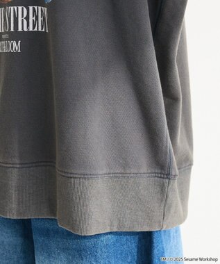 Green Parks セサミストリートミーツフルーツオブザルーム　スウェット Charcoal Gray