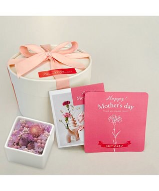 antina gift studio 母の日限定 / ギフトカードカタログ　MD06　+　フラワーセット