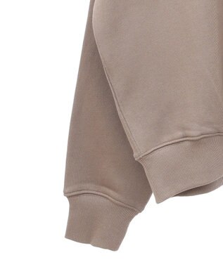 AMERICAN HOLIC ハーフＺＩＰスウェット1 Mocha