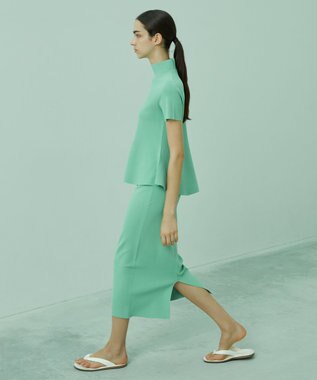 BEIGE， HOLLY / Iラインスカート Sage