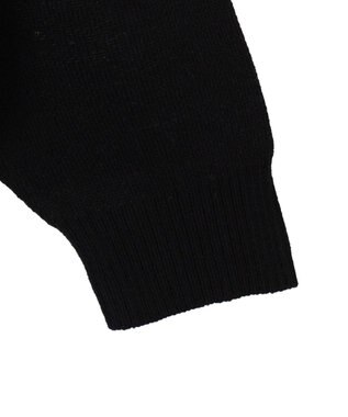 WEGO 【ユニセックス着用ITEM】ジャガードスリーブラインプルオーバー ブラック