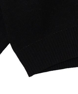 WEGO 【ユニセックス着用ITEM】ジャガードスリーブラインプルオーバー ブラック