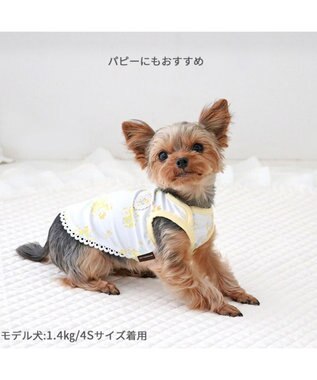 PET PARADISE ペットパラダイス はじめてタンクトップ 《ミモザ柄》 小型犬 ミモザ柄