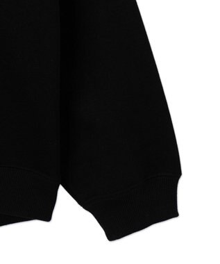 WEGO メタリックロゴプルオーバー ブラック